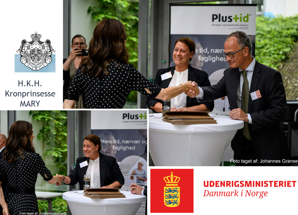 ambassade, M&oslash;bler til opbevaring p&aring; plejehjem, CareServiceTrolley, plustuid forbedringstavler