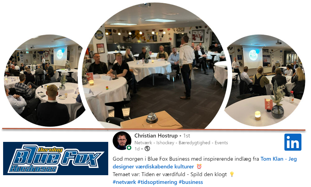 Blue Fox Business, Seminar, indl&aelig;g, temam&oslash;de, tidsforbrug, plustid, minustid, v&aelig;rdifuld