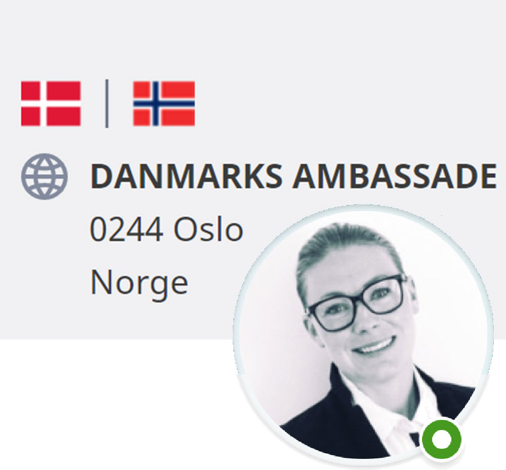 lean, norge, helse og omsorg, nlp, b&aelig;redygtig, gevinst, adf&aelig;rd, team, l&aelig;ring, udfordre, videndeler